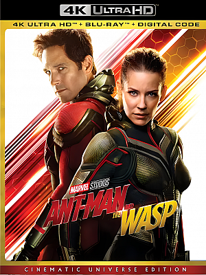 蚁人2:黄蜂女现身.Ant-Man and the Wasp.2018.2160p.UHD.BluRay.REMUX.HEVC.国语 DTS-X 7.1.4 24bit 特效中文字幕【41GB】