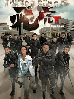 港台剧《飞虎 第二部》2014 720P 全10集 豆瓣 6.7分【17GB】