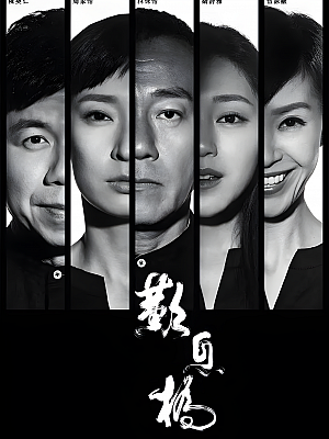 港台剧《叹息桥》2020 2160P 全15集 豆瓣 8.7分【17GB】