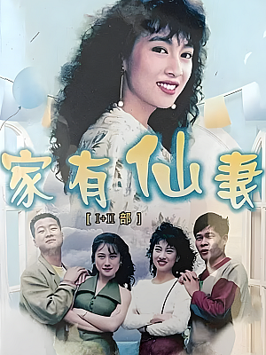 港台剧《家有仙妻 第一部》1991 720P 全40集 豆瓣 8.3分【36GB】