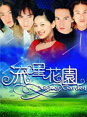 港台剧《流星花园 第一部》2001 1080P 全29集 豆瓣 8.2分【15GB】