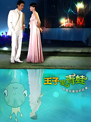 港台剧《王子变青蛙》2005 1080P 全31集 豆瓣 8.0分【26GB】
