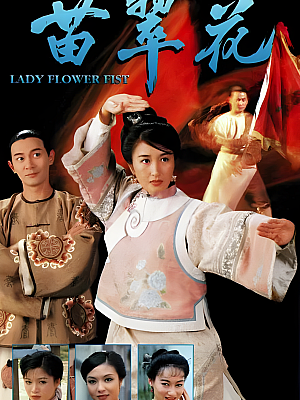 港台剧《苗翠花》1997 1080P 全20集 豆瓣 7.9分【25GB】