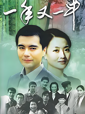 国产剧《一年又一年》1999 1080P 全21集 豆瓣 9.4分【121GB】