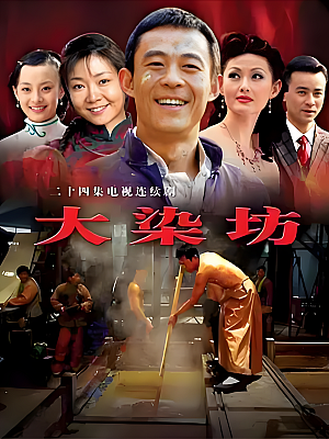 国产剧《大染坊》2003 2160P 全24集 豆瓣 9.2分【41GB】
