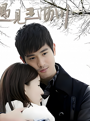 国产剧《遇见王沥川》2006 1080P 全38集 豆瓣 8.9分【38GB】