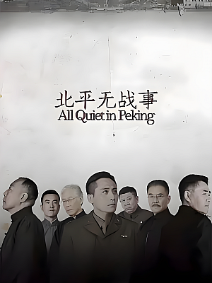 国产剧《北平无战事》2014 2160P 全53集 豆瓣 9.0分【81GB】
