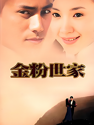 国产剧《金粉世家》2003 2160P 全40集 豆瓣 8.5分【43GB】