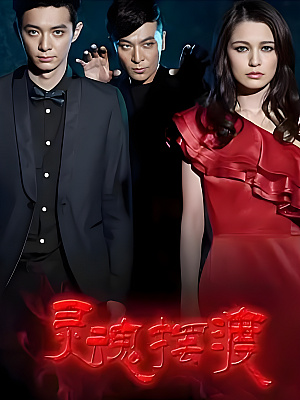 国产剧《灵魂摆渡 第一部》2014 2160P 全20集 豆瓣 8.6分【26GB】