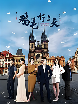 国产剧《鸡毛飞上天》2017 2160P 全55集 豆瓣 8.1分