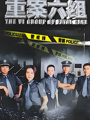 国产剧《重案六组 第二部》2003 1080P 全32集 豆瓣 8.6分【40GB】