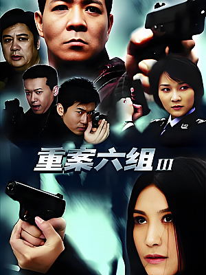 国产剧《重案六组 第三部》2009 1080P 全36集 豆瓣 8.5分【42GB】