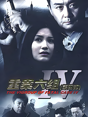 国产剧《重案六组 第四部》2011 1080P 全36集 豆瓣 8.2分【31GB】