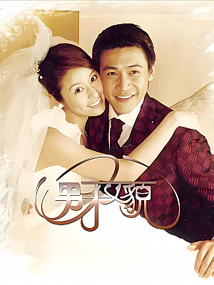 国产剧《男才女貌》2003 540P 全19集 豆瓣 6.7分【10GB】