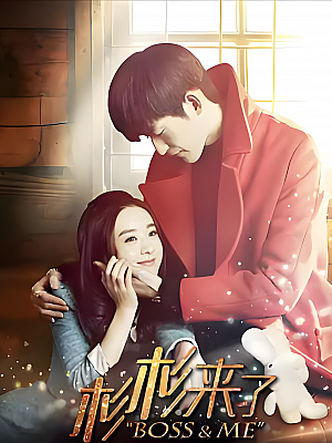 国产剧《杉杉来了》2014 2160P 全33集 豆瓣 7.7分【28GB】