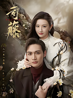 国产剧《司藤》2021 2160P 全30集 豆瓣 6.9分【75GB】