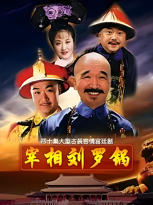 国产剧《宰相刘罗锅》1996 2160P 全40集 豆瓣 8.3分【60GB】