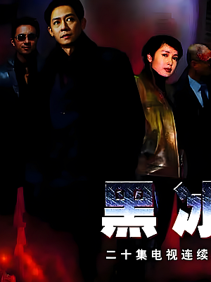 国产剧《黑冰》2001 1080P 全20集 豆瓣 8.0分【40GB】