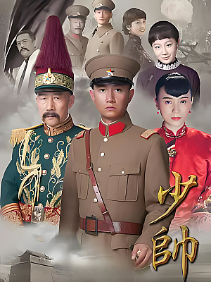 国产剧《少帅》2015 1080P 全48集 豆瓣 7.7分【93GB】