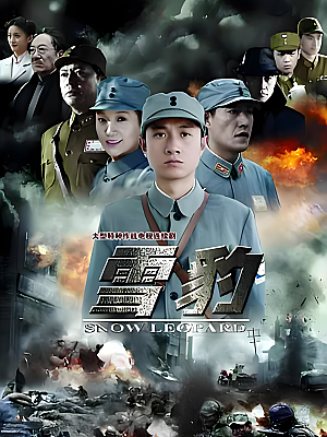 国产剧《雪豹》2010 1080P 全40集 豆瓣 8.2分【33GB】
