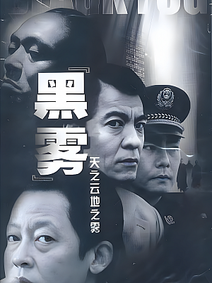 国产剧《黑雾》2003 480P 全24集 豆瓣 7.4分【5GB】