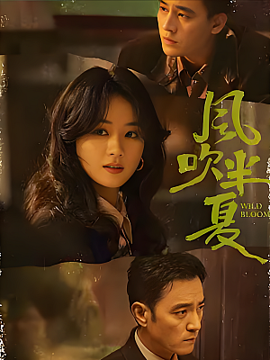 国产剧《风吹半夏》2022 2160P 全36集 豆瓣 8.2分【61GB】