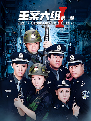 国产剧《重案六组 第一部》2001 1080P 全32集 豆瓣 8.8分【40GB】