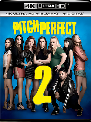 完美音调2.Pitch Perfect 2.2015.2160p.UHD.BluRay.REMUX.HEVC.国语 DTS-HDMA 5.1 16bit 特效中文字幕【47GB】