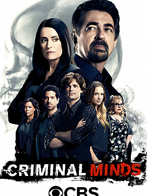 美剧《犯罪心理 第十二季》Criminal Minds Season 12 2016 1080P 英语中字 全22集 豆瓣 8.6分【24GB】