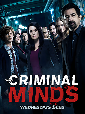 美剧《犯罪心理 第十三季》Criminal Minds Season 12 2017 1080P 英语中字 全22集 豆瓣 8.7分【24GB】