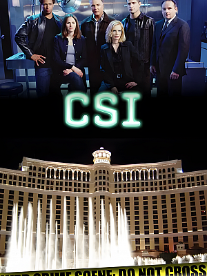 美剧《犯罪现场调查 第二季》CSI: Crime Scene Investigation Season 2 2001 720P 英语中字 全23集 豆瓣 9.3分【12GB】