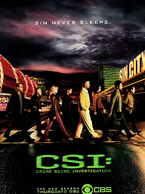 美剧《犯罪现场调查 第七季》CSI: Crime Scene Investigation Season 7 2006 720P 英语中字 全24集 豆瓣 9.4分【12GB】