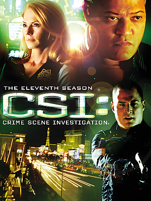 美剧《犯罪现场调查 第十一季》CSI: Crime Scene Investigation Season 11 2010 720P 英语中字 全22集 豆瓣 8.7分【11GB】