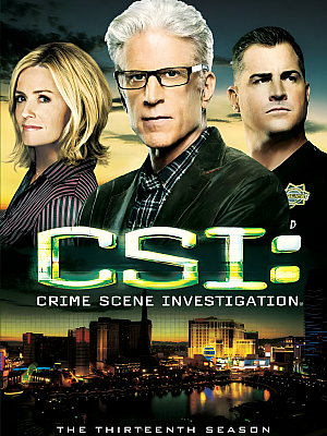 美剧《犯罪现场调查 第十三季》CSI: Crime Scene Investigation Season 13 2012 720P 英语中字 全22集 豆瓣 8.7分【10GB】