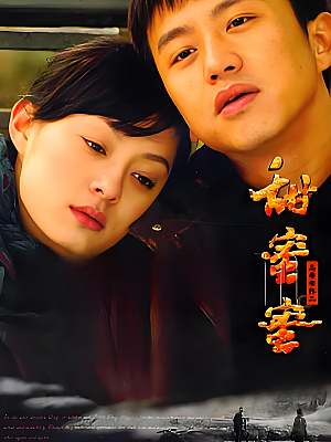 国产剧《甜蜜蜜》2007 1080P 全26集 豆瓣 7.9分【17GB】