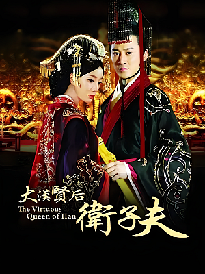 国产剧《卫子夫》2014 1080P 全47集 豆瓣 5.8分【95GB】