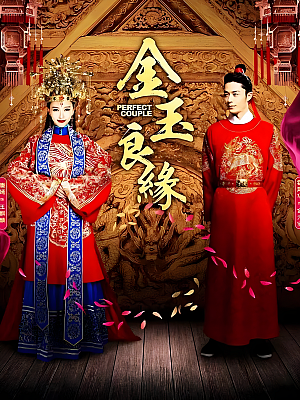 国产剧《金玉良缘》2014 2160P 全45集 豆瓣 6.8分【63GB】