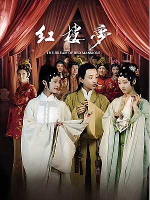 国产剧《新红楼梦》2010 1080P 全50集 豆瓣 5.9分【39GB】