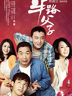 国产剧《半路父子》2014 2160P 全36集 豆瓣 6.8分【172GB】