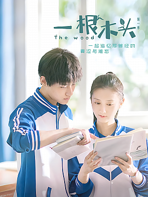 国产剧《一根木头 第一部》2020 1080P 全12集 豆瓣 6.8分【9GB】