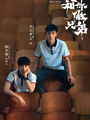 国产剧《我要和你做兄弟》2022 1080P 全30集 豆瓣 7.3分【42GB】