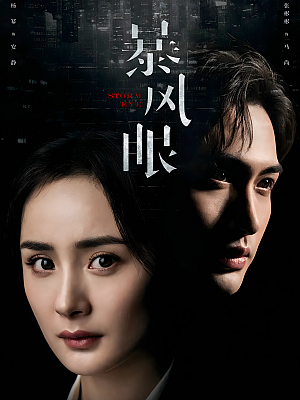 国产剧《暴风眼》2021 2160P 全40集 豆瓣 5.5分【44GB】