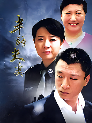 国产剧《半路夫妻》2005 1080P 全28集 豆瓣 8.0分【19GB】