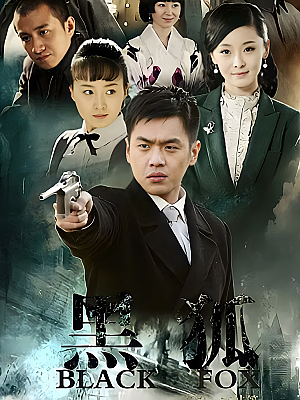 国产剧《黑狐》2011 2160P 全38集 豆瓣 7.4分【57GB】
