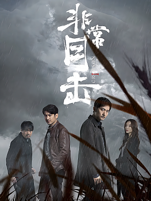 国产剧《非常目击》2020 2160P 全12集 豆瓣 5.4分【14GB】