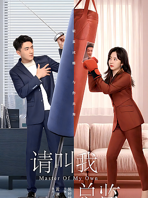 国产剧《请叫我总监》2022 2160P 全32集 豆瓣 6.5分【34GB】