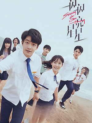 国产剧《一闪一闪亮星星》2002 1080P 全24集 豆瓣 6.8分【33GB】