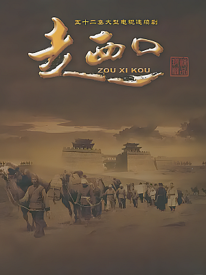 国产剧《走西口》2009 1080P 全52集 豆瓣 7.6分【56GB】