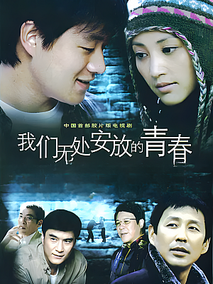国产剧《我们无处安放的青春》2007 DVD 全24集 豆瓣 8.2分【12GB】
