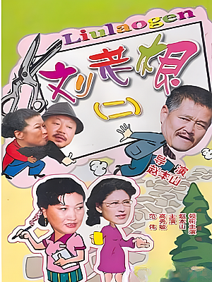 国产剧《刘老根 第二部》2003 DVD 全22集 豆瓣 7.9分【9GB】